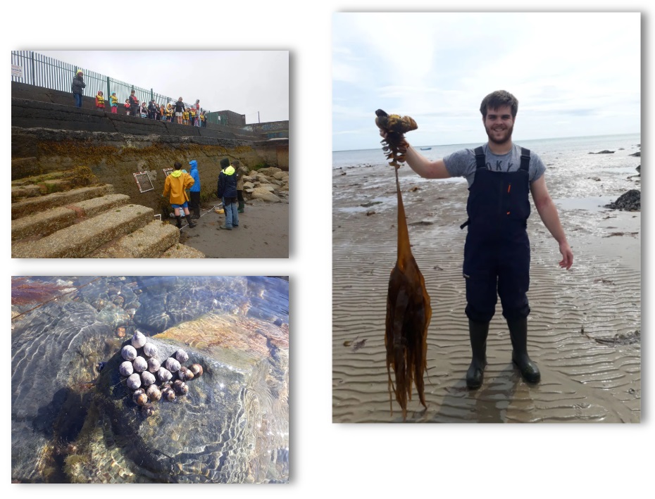 What We Do collage showing clockwise from top right a coastal community event on a pier; a team member holding a crab; and a marine shells on a rock